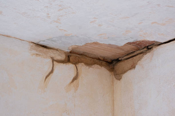 Best Commercial water damage restoration  in Lake Bluff, IL