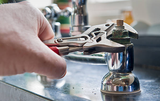 Best Flooded house restoration  in Lake Bluff, IL