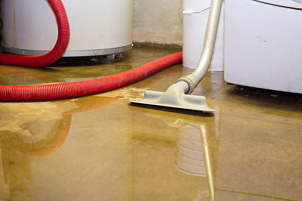 Best Flood restoration services  in Lake Bluff, IL