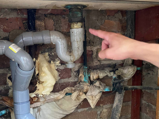 Best Ceiling water damage repair  in Lake Bluff, IL