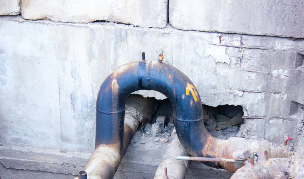  Lake Bluff, IL Water damage restoration Pros