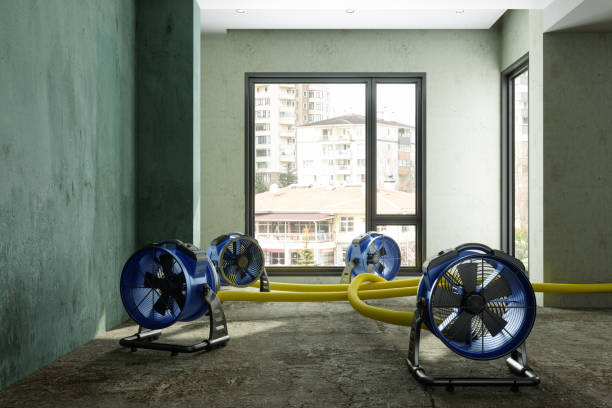 Best Sewage cleanup and water damage restoration  in Lake Bluff, IL